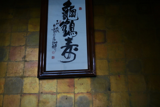 P1130003.JPG